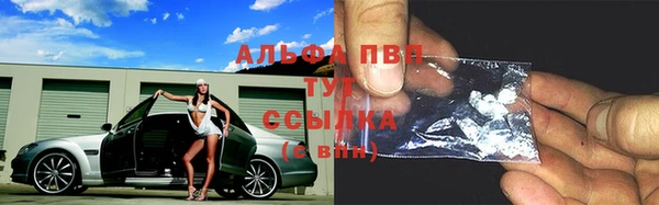 гидропоника Гусиноозёрск