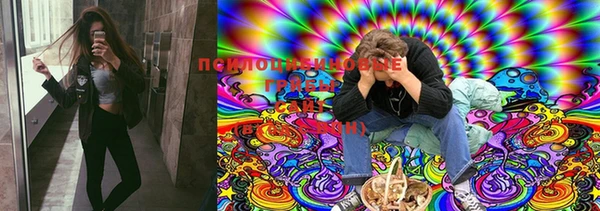 mdma Горняк