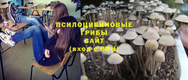 гидропоника Гусиноозёрск
